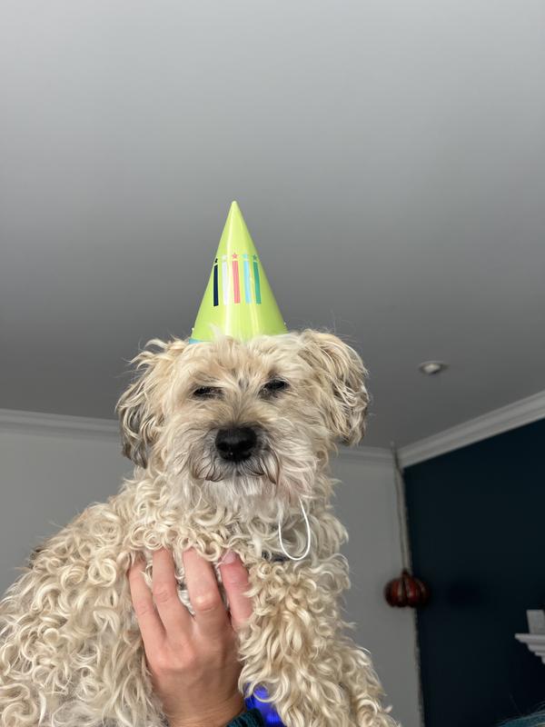 Photo - commentaire 2