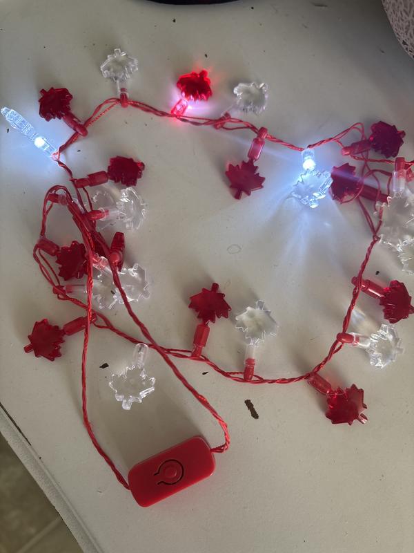 Photo - commentaire&nbsp;2