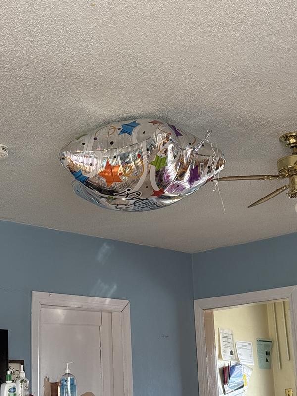 Still sticking to the ceiling five days later!  Amazing!