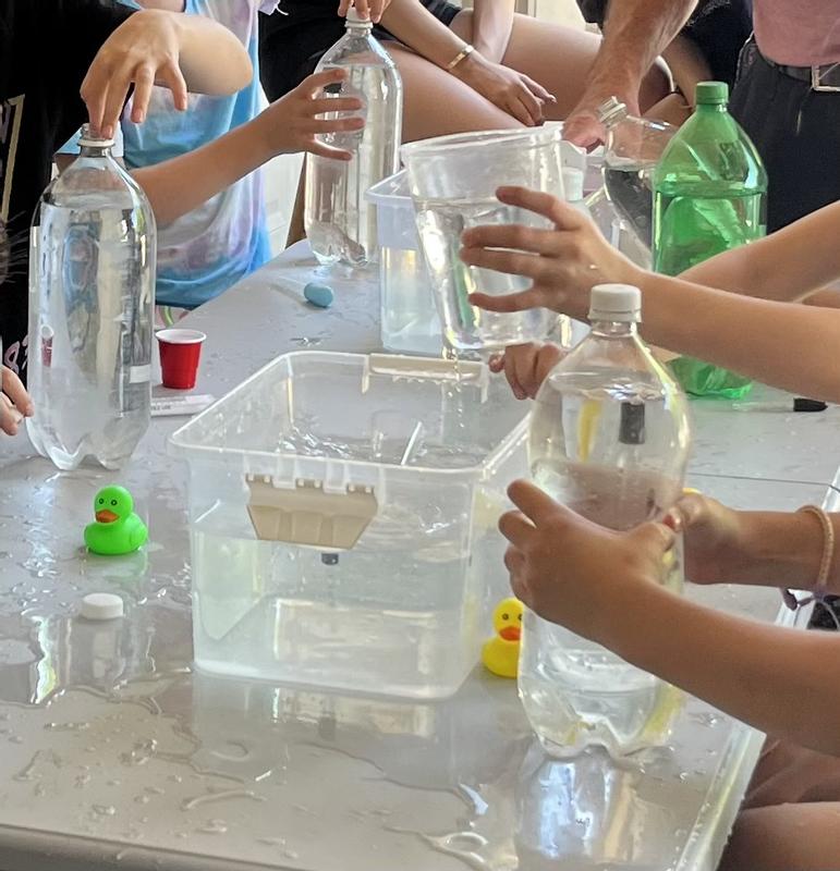 Ducks helped with water experiments