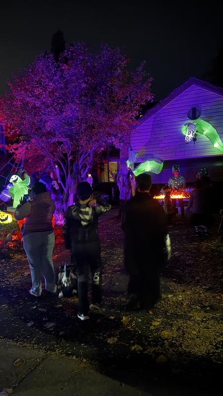 Photo - commentaire 1