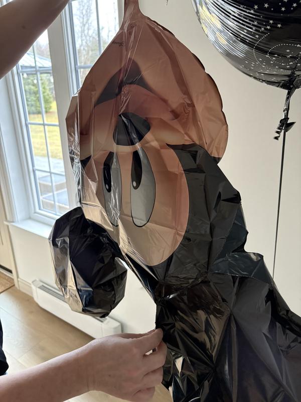 Photo - commentaire&nbsp;1