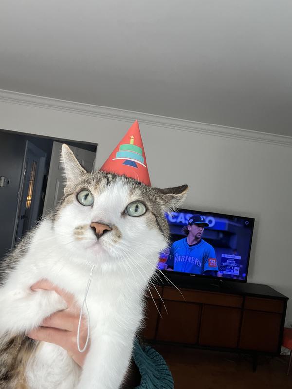 Photo - commentaire 1