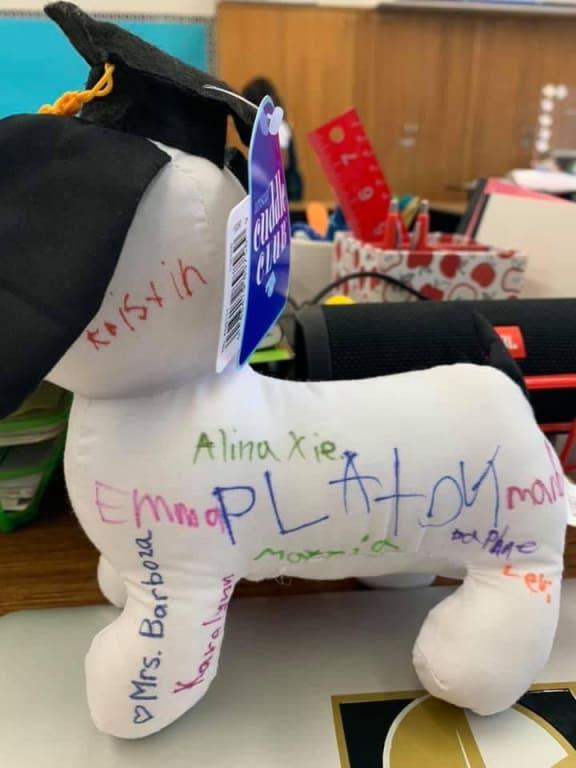 Graduation autograph dog white party city
