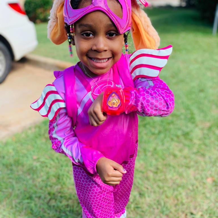 Skye is on the Rescue!