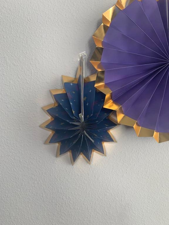 Photo - commentaire&nbsp;8