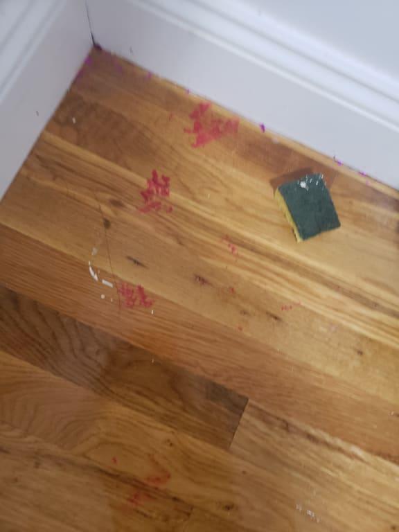 Photo - commentaire 1