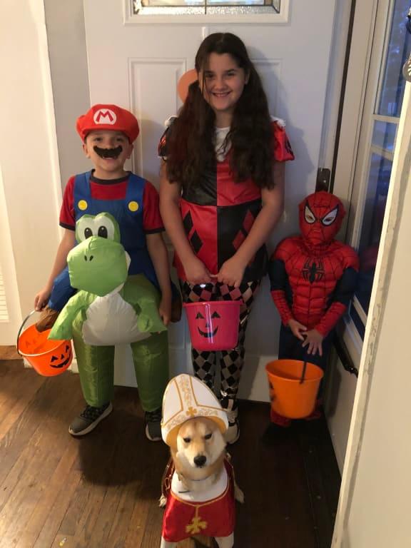 Photo - commentaire 1