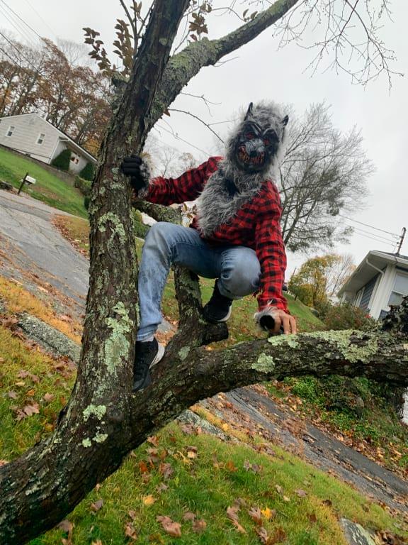 Photo - commentaire&nbsp;4.