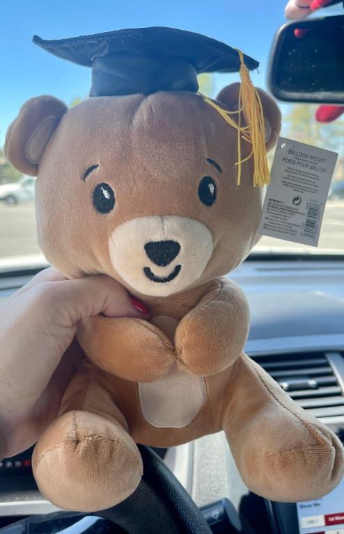 Photo - commentaire 2