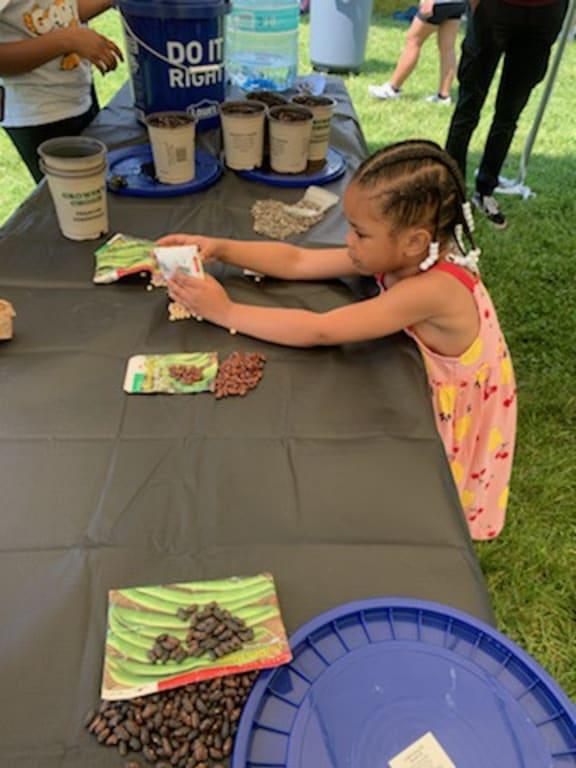 Photo - commentaire 8