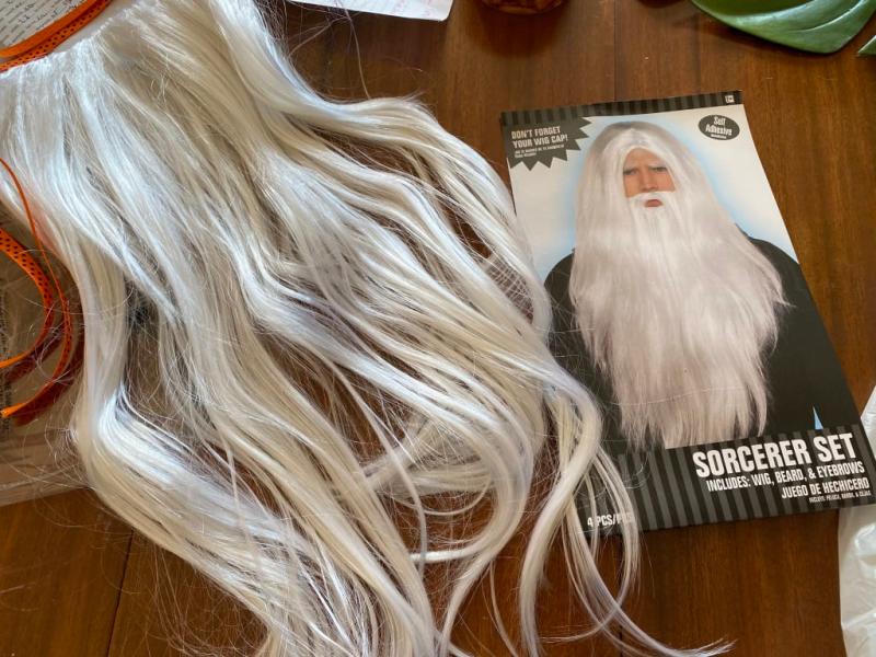 Merlin Wizard Long Hair Wig Beard White One Size 2 pk