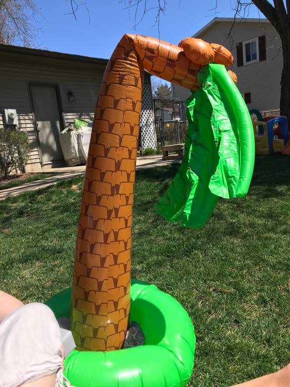 Photo - commentaire 5