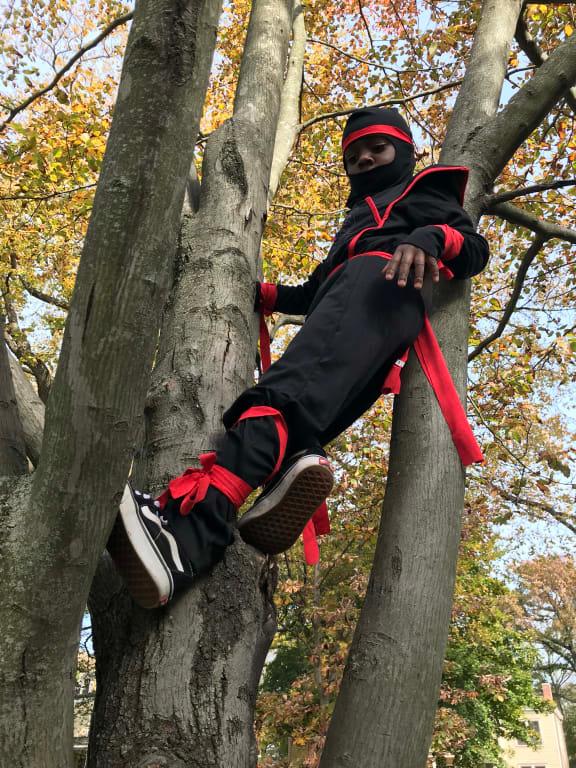 Photo - commentaire 5