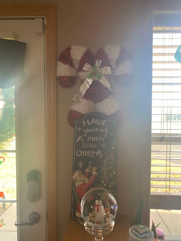 Home for the holidays