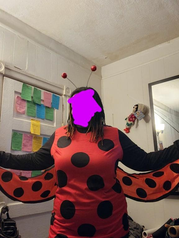 Photo - commentaire 1