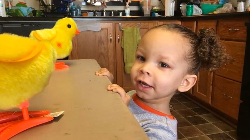 Photo - commentaire 1