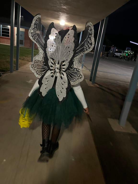 Photo - commentaire 1