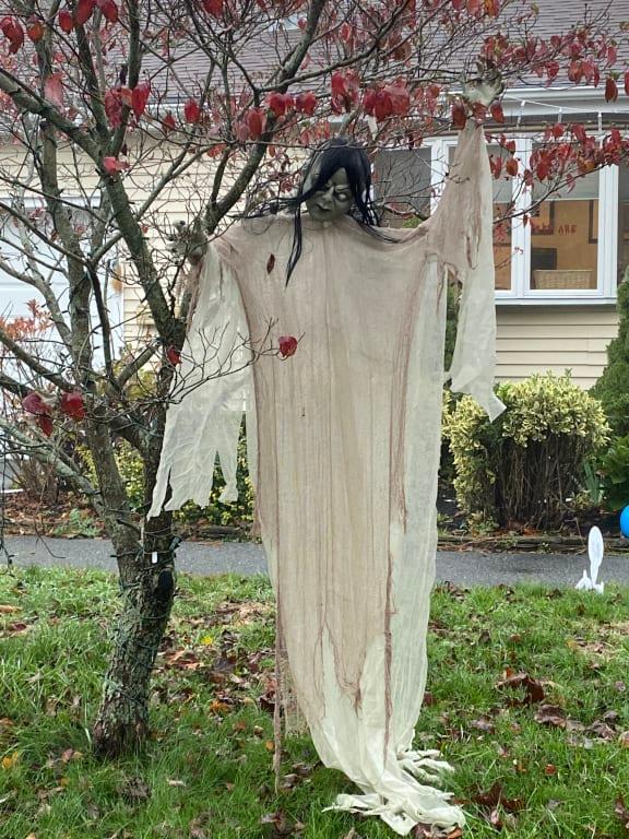 Photo - commentaire&nbsp;2