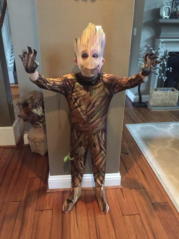 Photo - commentaire&nbsp;2