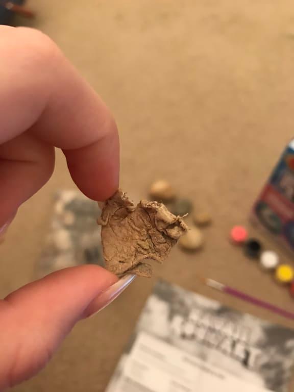 in the bag, we found what we thought was a leaf until we picked it up. its rubbery and disgusting.