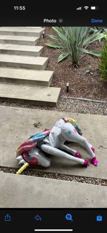 Photo - commentaire 1.