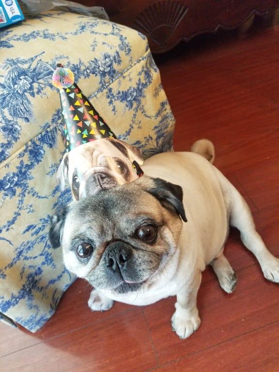 Photo - commentaire 1