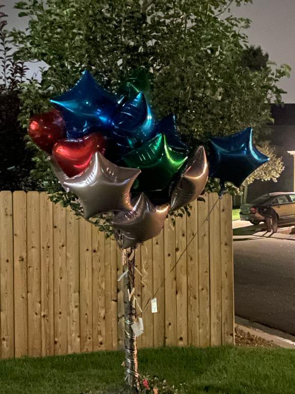 Surprise birthday delivery, part 1