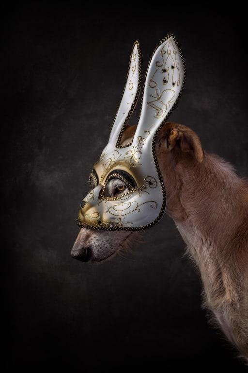 The Hunter and the Hunted