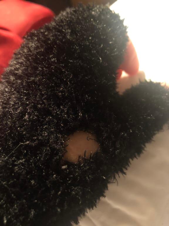 Photo - commentaire 2