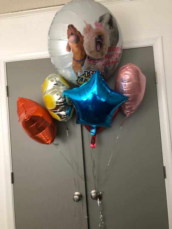 Photo - commentaire&nbsp;1