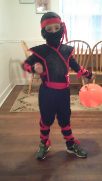 Photo - commentaire 8