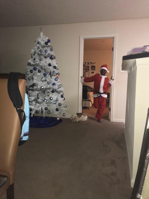 Photo - commentaire 2