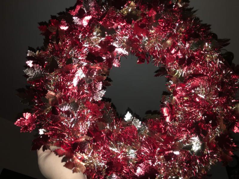 No fall colors here.