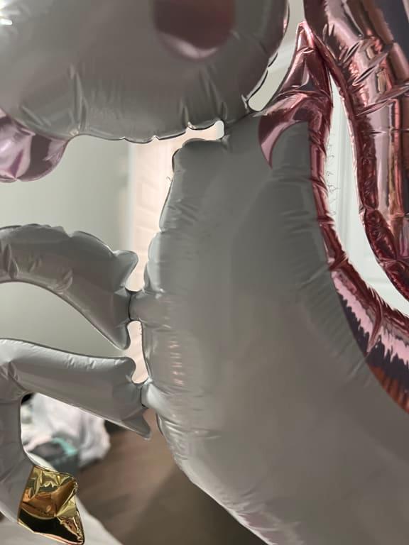 Photo - commentaire&nbsp;2