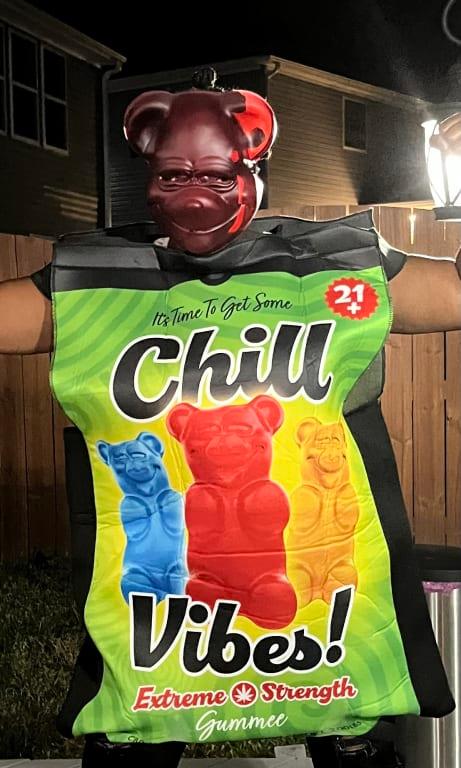 Photo - commentaire 2