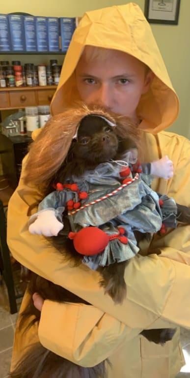 Photo - commentaire 2