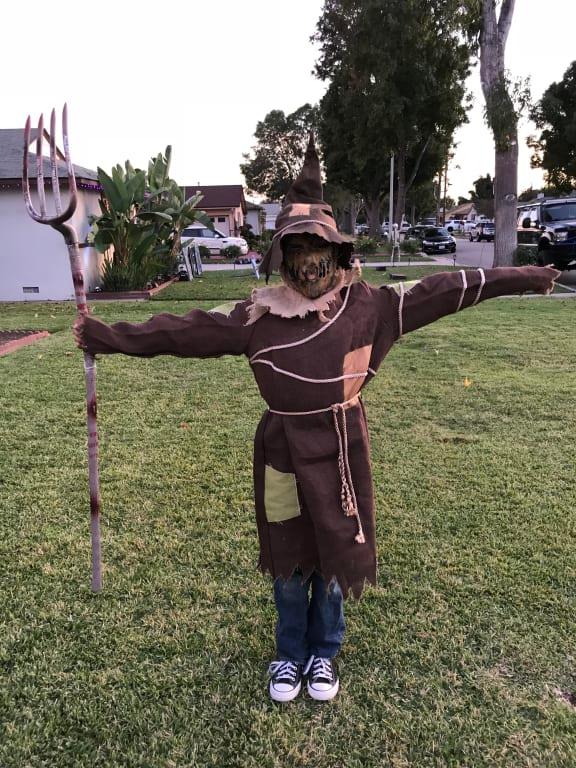 Photo - commentaire&nbsp;2