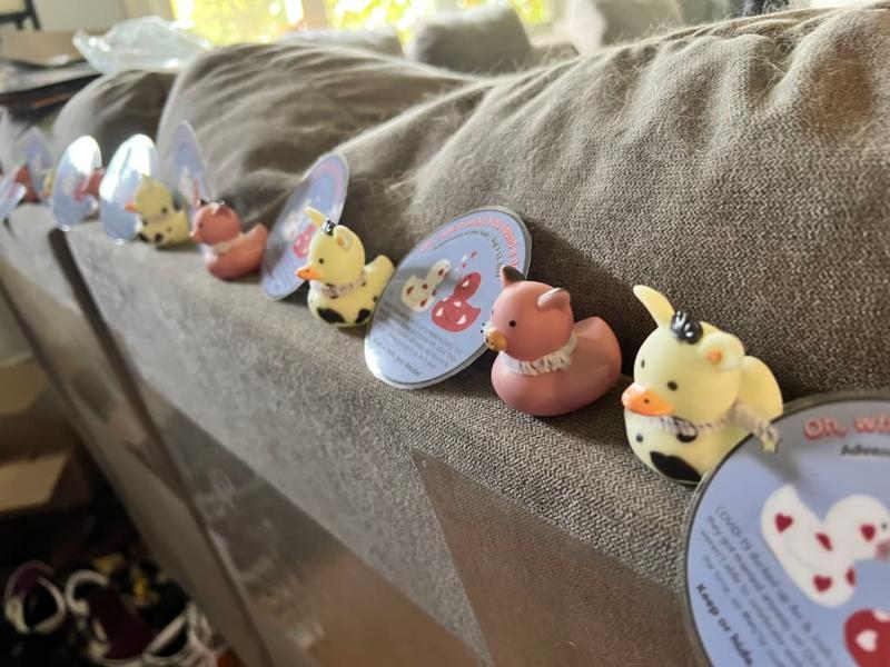 The eight ducks lined up ready to be hidden on our cruise