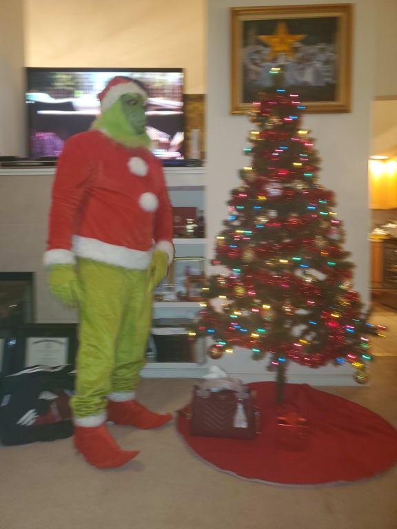 Grinch stole Christmas for sure!