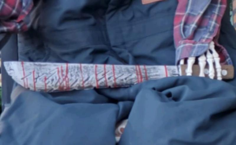 One of these don't look like the other