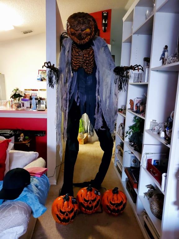 3 of 12 Evil pumkins