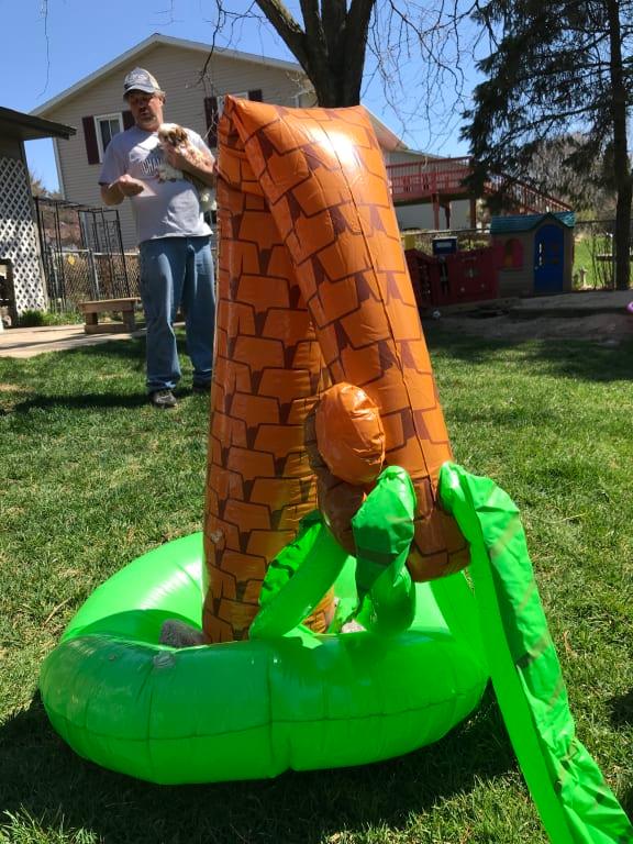 Photo - commentaire 6