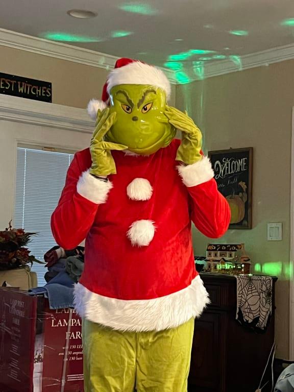 Classic Grinch Costume | Party City