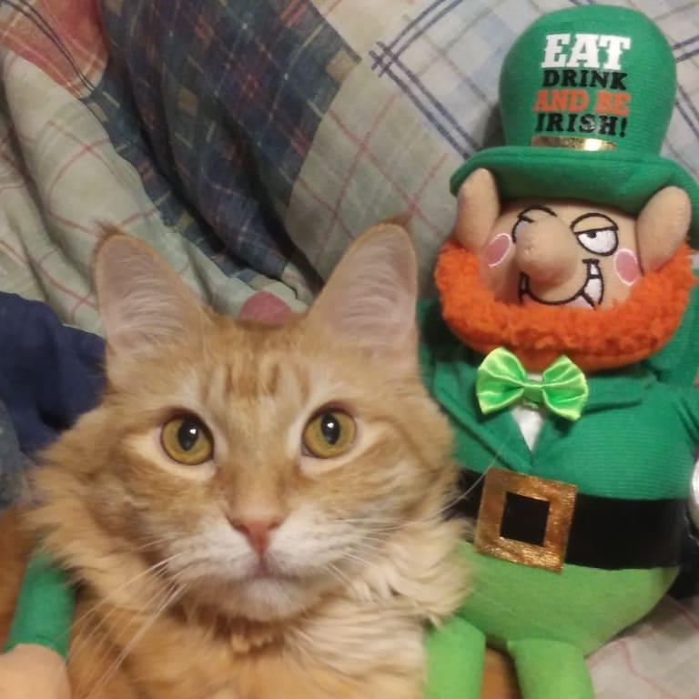 Mr. Leprechaun with his new friend!