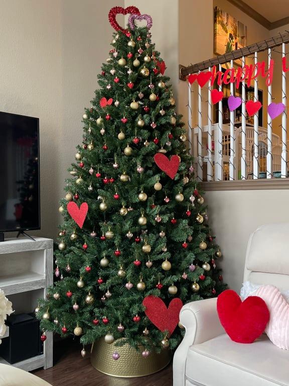 Photo - commentaire 1