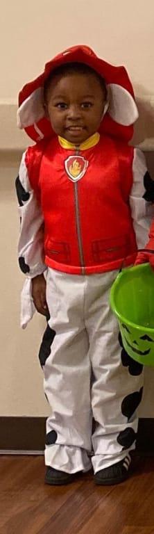 Photo - commentaire&nbsp;2