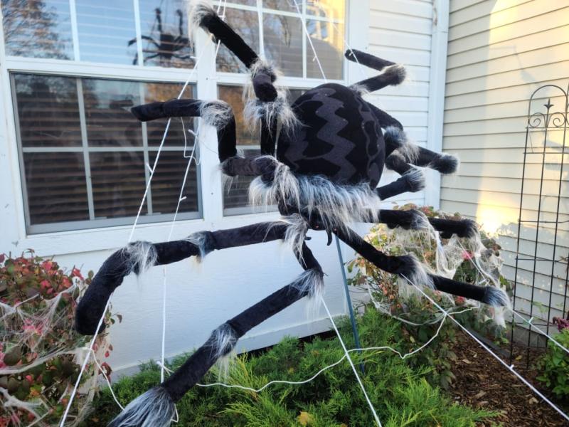 Photo - commentaire&nbsp;6