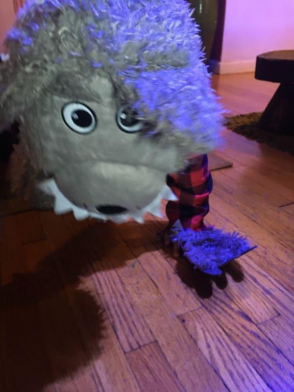 Photo - commentaire 5