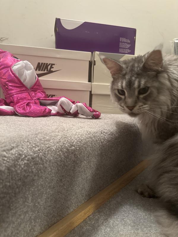 Sig is interested….